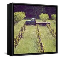 Green Truck-Lance Kuehne-Framed Stretched Canvas