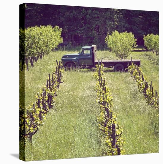 Green Truck-Lance Kuehne-Stretched Canvas