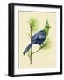 Green Turaco I-Melissa Wang-Framed Art Print