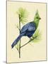 Green Turaco I-Melissa Wang-Mounted Art Print