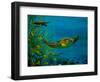 Green Turtle, 2018-Lee Campbell-Framed Giclee Print