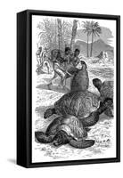 Green Turtle Being Caught by Hunters, 1884-null-Framed Stretched Canvas