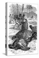 Green Turtle Being Caught by Hunters, 1884-null-Stretched Canvas