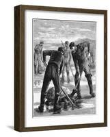 Green Turtle Being Caught by Hunters, C1900-null-Framed Giclee Print