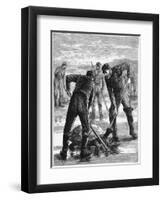 Green Turtle Being Caught by Hunters, C1900-null-Framed Giclee Print