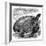 Green Turtle (Chelone Myda), C1890-null-Framed Giclee Print