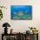 Green Turtle (Chelonia Mydas), Maui, Hawaii, USA-Reinhard Dirscherl-Framed Stretched Canvas displayed on a wall