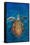 Green Turtle, (Chelonia Mydas), Swimming over Volcanic Sandy Bottom, Armenime Cove, Canary Islands-Jordi Chias-Framed Stretched Canvas