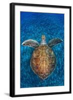 Green Turtle, (Chelonia Mydas), Swimming over Volcanic Sandy Bottom, Armenime Cove, Canary Islands-Jordi Chias-Framed Premium Photographic Print