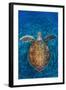 Green Turtle, (Chelonia Mydas), Swimming over Volcanic Sandy Bottom, Armenime Cove, Canary Islands-Jordi Chias-Framed Premium Photographic Print