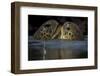 Green Turtle (Chelonia Mydas) Two Interacting at Surface-Pedro Narra-Framed Photographic Print