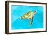 Green Turtle on Light Blue-Patricia Pinto-Framed Art Print