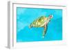 Green Turtle on Light Blue-Patricia Pinto-Framed Art Print