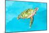 Green Turtle on Light Blue-Patricia Pinto-Mounted Art Print