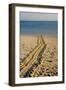 Green Turtle Tracks-null-Framed Photographic Print