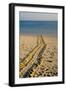 Green Turtle Tracks-null-Framed Photographic Print