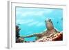 Green Turtle Underwater Close-Up. Sipadan. Celebes Sea-GoodOlga-Framed Photographic Print