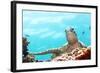 Green Turtle Underwater Close-Up. Sipadan. Celebes Sea-GoodOlga-Framed Photographic Print