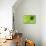 Green Umbrella-Kathy Mahan-Mounted Photographic Print displayed on a wall