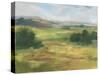 Green Valley I-Ethan Harper-Stretched Canvas