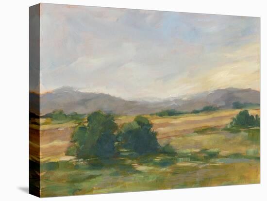 Green Valley II-Ethan Harper-Stretched Canvas