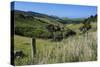 Green Valley in the Catlins, South Island, New Zealand, Pacific-Michael-Stretched Canvas