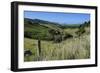 Green Valley in the Catlins, South Island, New Zealand, Pacific-Michael-Framed Photographic Print