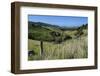 Green Valley in the Catlins, South Island, New Zealand, Pacific-Michael-Framed Photographic Print