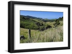 Green Valley in the Catlins, South Island, New Zealand, Pacific-Michael-Framed Photographic Print