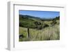 Green Valley in the Catlins, South Island, New Zealand, Pacific-Michael-Framed Photographic Print