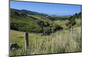 Green Valley in the Catlins, South Island, New Zealand, Pacific-Michael-Mounted Photographic Print