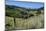 Green Valley in the Catlins, South Island, New Zealand, Pacific-Michael-Mounted Photographic Print