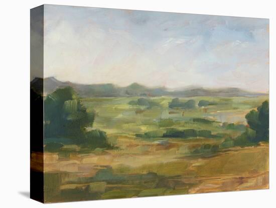 Green Valley IV-Ethan Harper-Stretched Canvas