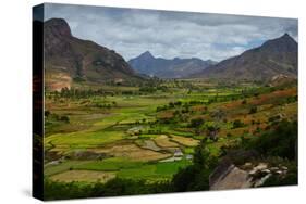 Green Valley with Rice Fields. Madagascar-Dudarev Mikhail-Stretched Canvas
