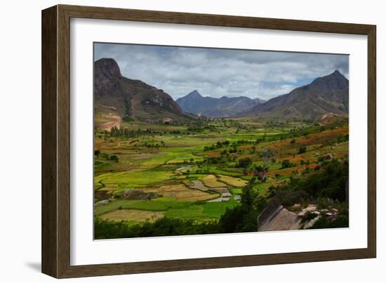 Green Valley with Rice Fields. Madagascar-Dudarev Mikhail-Framed Photographic Print