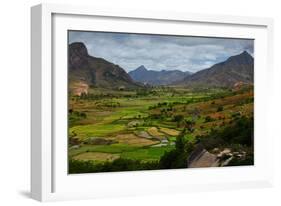 Green Valley with Rice Fields. Madagascar-Dudarev Mikhail-Framed Photographic Print