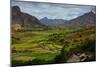 Green Valley with Rice Fields. Madagascar-Dudarev Mikhail-Mounted Photographic Print