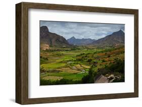 Green Valley with Rice Fields. Madagascar-Dudarev Mikhail-Framed Photographic Print