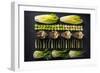 Green Vegetables Cut in Halves, Flat Lay Design on Dark Background, Symmetric-Marcin Jucha-Framed Photographic Print