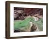 Green Veil-Shenshen Dou-Framed Giclee Print