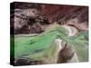 Green Veil-Shenshen Dou-Stretched Canvas