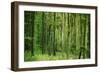 Green Vertically-Philippe Sainte-Laudy-Framed Premium Photographic Print