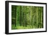 Green Vertically-Philippe Sainte-Laudy-Framed Premium Photographic Print