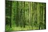 Green Vertically-Philippe Sainte-Laudy-Mounted Premium Photographic Print