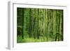 Green Vertically-Philippe Sainte-Laudy-Framed Photographic Print