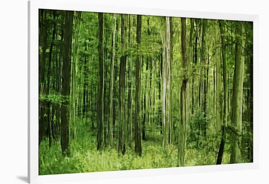 Green Vertically-Philippe Sainte-Laudy-Framed Photographic Print