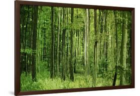 Green Vertically-Philippe Sainte-Laudy-Framed Photographic Print