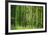 Green Vertically-Philippe Sainte-Laudy-Framed Photographic Print