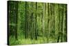 Green Vertically-Philippe Sainte-Laudy-Stretched Canvas