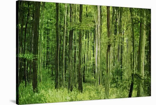 Green Vertically-Philippe Sainte-Laudy-Stretched Canvas
